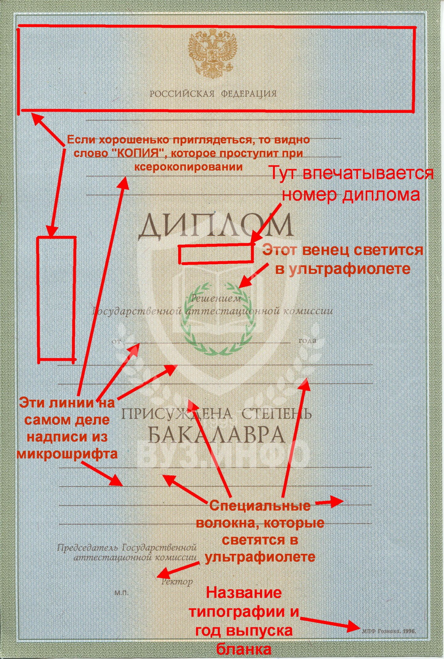 Степени защиты диплома бакалавра 1996-2002 гг.